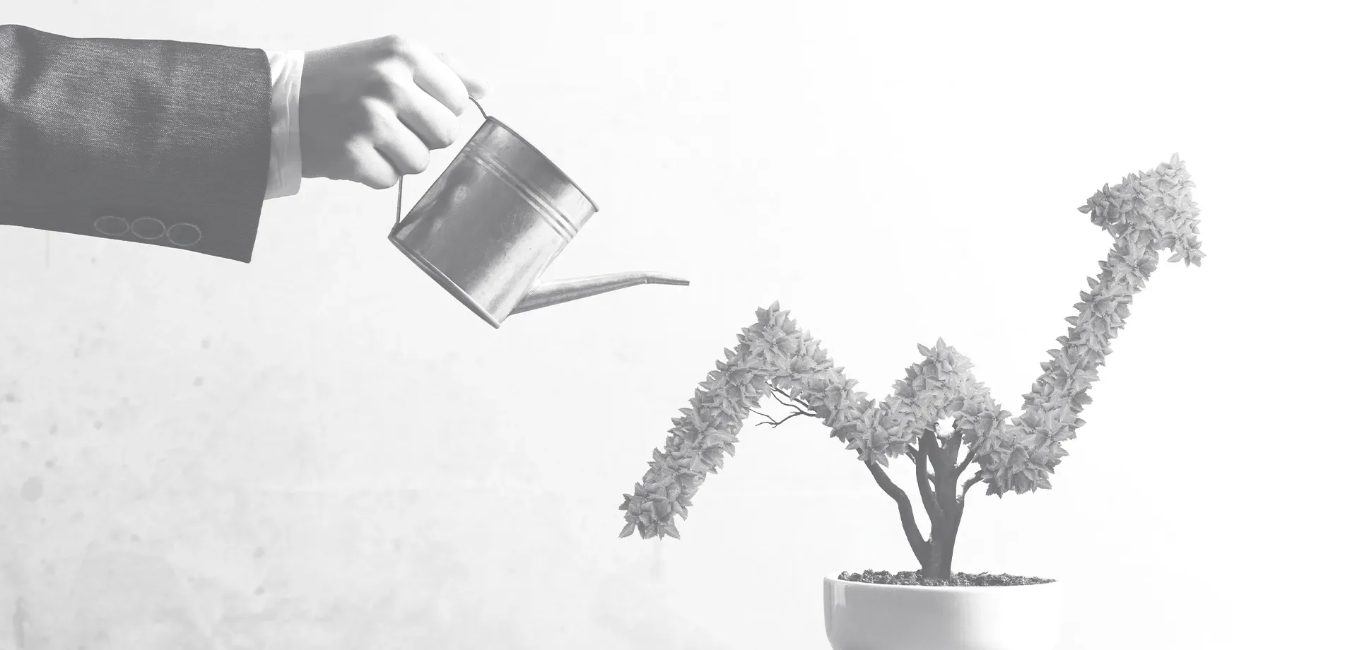 The Foundations of Operational Growth: Strategies for Scaling with Ease